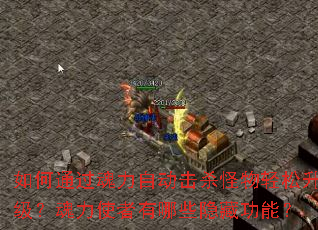 ���ͨ�������Զ���ɱ������������������ʹ������Щ���ع��ܣ�