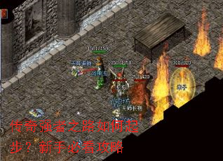 ����ǿ��֮·����𲽣����ֱؿ�����