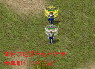 ��ο���������«�޴��浥ְҵ��ɫ�ȼ���