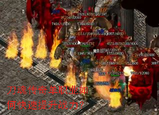 ���괫�浥ְҵ��ο�������ս����