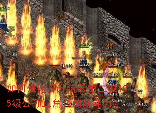 ��ο����������Ƶڶ���105������ֹ��ɫ��ս������