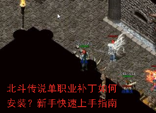 ������˵��ְҵ������ΰ�װ�����ֿ�������ָ��