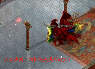 ��巾�������ο�������ս����