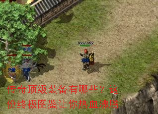 ���涥��װ������Щ������ռ�ͼ��������Ѫ����