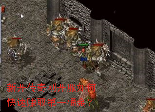 �¿�����տ�����ο���׬ȡ��һͰ��