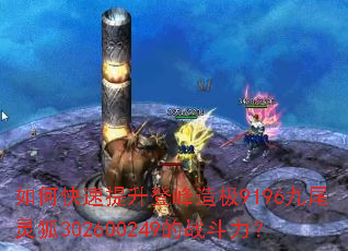 ��ο��������Ƿ��켫9196��β���302600249��ս������