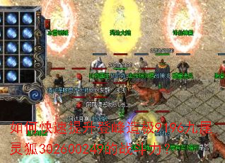 ��ο��������Ƿ��켫9196��β���302600249��ս������