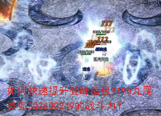 ��ο��������Ƿ��켫9196��β���302600249��ս������