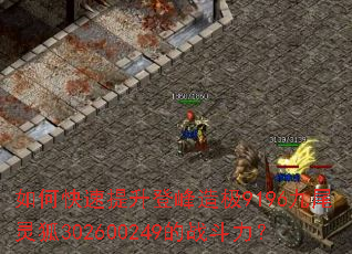 ��ο��������Ƿ��켫9196��β���302600249��ս������