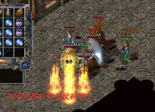 ��ο��ٻ�ý���������