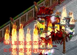 �ɷ���ְҵ��̬�洫����ο�������ս����