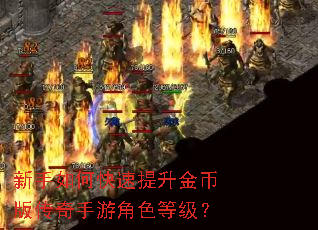 ������ο���������Ұ洫�����ν�ɫ�ȼ���