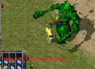 ���棺��ο�������ս����