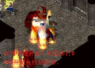 ��ο����������мǶ��BOSS����Ͼ���ѫ�¡�