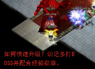 ��ο����������мǶ��BOSS����Ͼ���ѫ�¡�
