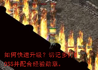 ��ο����������мǶ��BOSS����Ͼ���ѫ�¡�