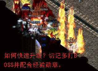 ��ο����������мǶ��BOSS����Ͼ���ѫ�¡�