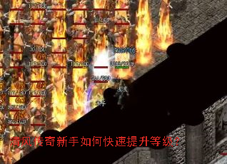 ��紫��������ο��������ȼ���
