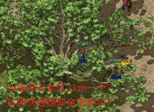 ��Ե��ʯ����23Ԫһ������ο���׬ȡ��ҹ���