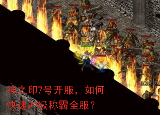 神之印7号开服,如何快速冲级称霸全服? 神之印7号开服,如何快速冲级称霸全服?