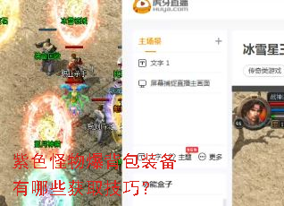 紫色怪物爆背包装备有哪些获取技巧? 紫色怪物爆背包装备有哪些获取技巧?
