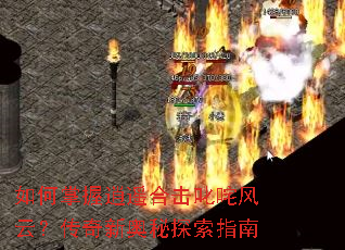 ���������ң�ϻ�߳����ƣ������°���̽��ָ��