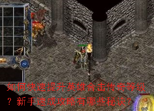 如何快速提升英雄合击传奇等级?新手速成攻略有哪些秘诀? 如何快速提升英雄合击传奇等级?新手速成攻略有哪些秘诀?
