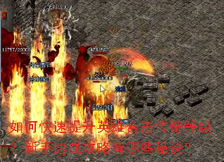 如何快速提升英雄合击传奇等级?新手速成攻略有哪些秘诀? 如何快速提升英雄合击传奇等级?新手速成攻略有哪些秘诀?