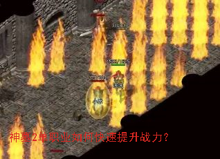 ��Ĺ2��ְҵ��ο�������ս����