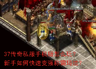 37传奇私服手机版怎么玩?新手如何快速变强称霸玛法? 37传奇私服手机版怎么玩?新手如何快速变强称霸玛法?