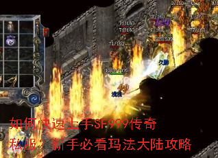 如何快速上手SF999传奇私服?新手必看玛法大陆攻略 如何快速上手SF999传奇私服?新手必看玛法大陆攻略