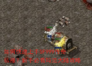 如何快速上手SF999传奇私服?新手必看玛法大陆攻略 如何快速上手SF999传奇私服?新手必看玛法大陆攻略