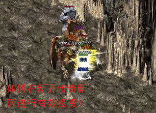 如何在新开传奇新区进行有效投资? 如何在新开传奇新区进行有效投资?