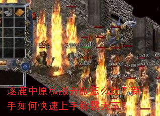 ��¹��ԭ˽��������ô�棿������ο������ֳư����£�