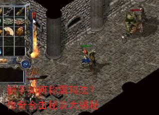 新手如何称霸玛法?传奇合击秘诀大揭秘 新手如何称霸玛法?传奇合击秘诀大揭秘