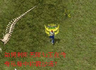 如何利用无限仙玉在传奇私服中称霸沙场? 如何利用无限仙玉在传奇私服中称霸沙场?