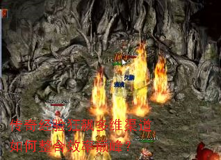 ���澭���쭶�ά�����������Ч���۷壿