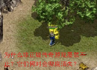 为什么非正版传奇游戏屡禁不止?它们何时会彻底消失? 为什么非正版传奇游戏屡禁不止?它们何时会彻底消失?