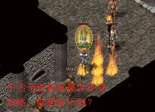 ǧ�Ŵ������������淨���ԣ�Ч���ò��ã�