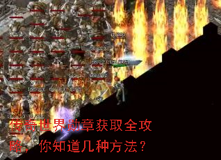 传奇世界勋章获取全攻略,你知道几种方法? 传奇世界勋章获取全攻略,你知道几种方法?