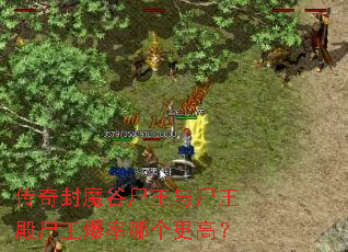 传奇封魔谷尸王与尸王殿尸王爆率哪个更高? 传奇封魔谷尸王与尸王殿尸王爆率哪个更高?
