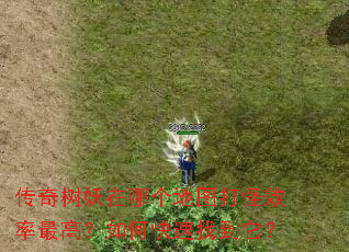 传奇树妖在哪个地图打怪效率最高?如何快速找到它? 传奇树妖在哪个地图打怪效率最高?如何快速找到它?
