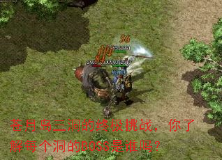 ���µ��������ռ���ս�����˽�ÿ������BOSS��˭��