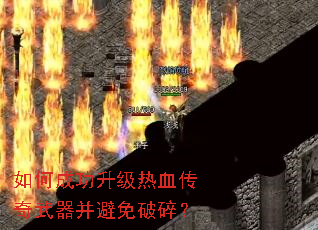 ��γɹ�������Ѫ�����������������飿