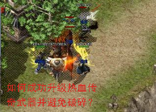 ��γɹ�������Ѫ�����������������飿