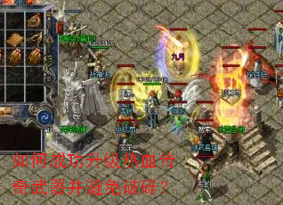 ��γɹ�������Ѫ�����������������飿