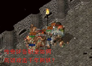 ����SF��ְҵ��θ�Ч����ǧ��������