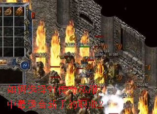 如何选择91传奇私服中最适合新手的职业? 如何选择91传奇私服中最适合新手的职业?