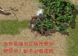 传奇私服与正版传奇如何区分?新手必看攻略 传奇私服与正版传奇如何区分?新手必看攻略