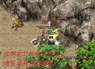 �����37����ƽ̨���ٵ�¼����ʼ��Ϸ��